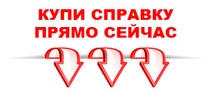 справка в Ульяновске