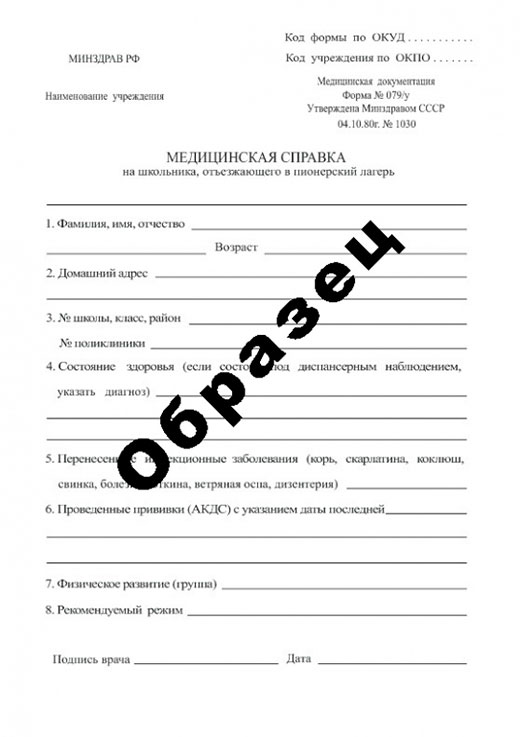Справка в пионерский лагерь в Ульяновске